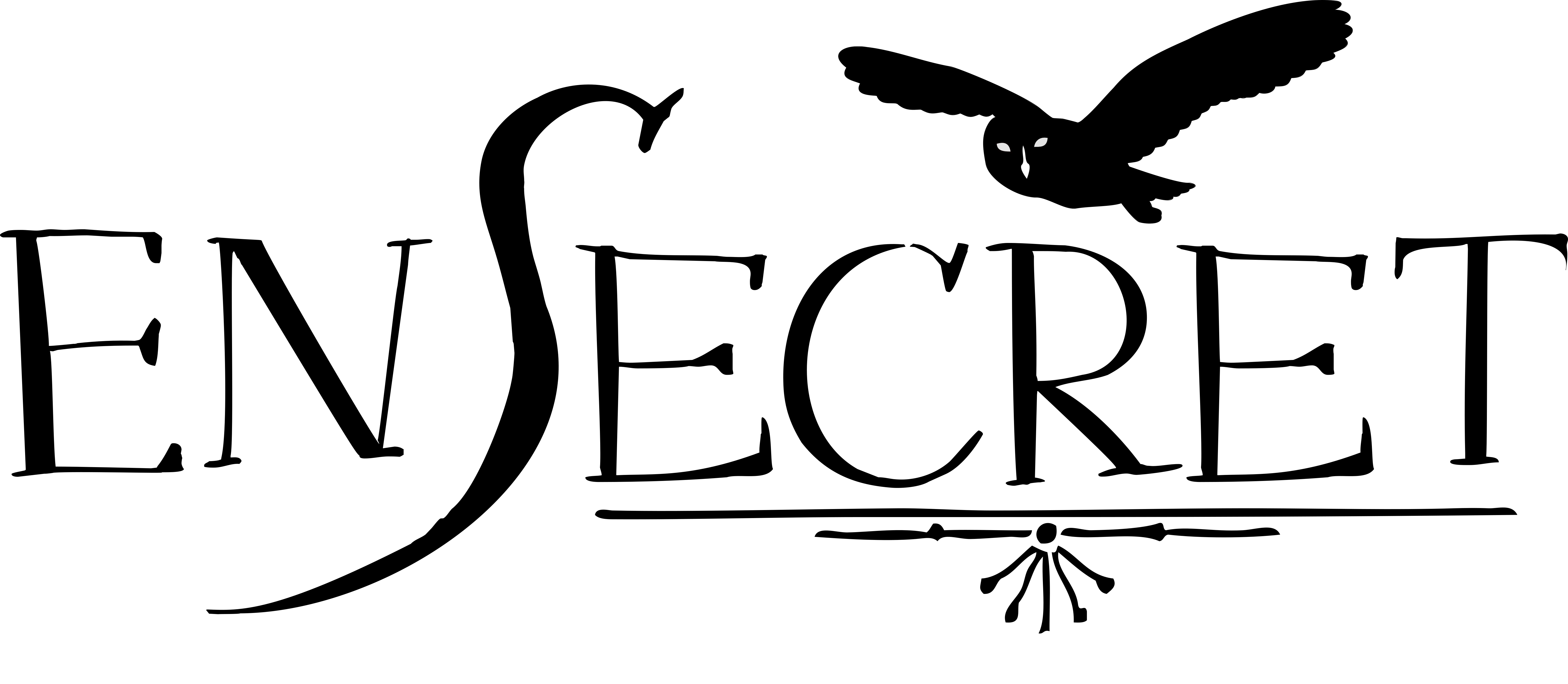 bannière ENSecret